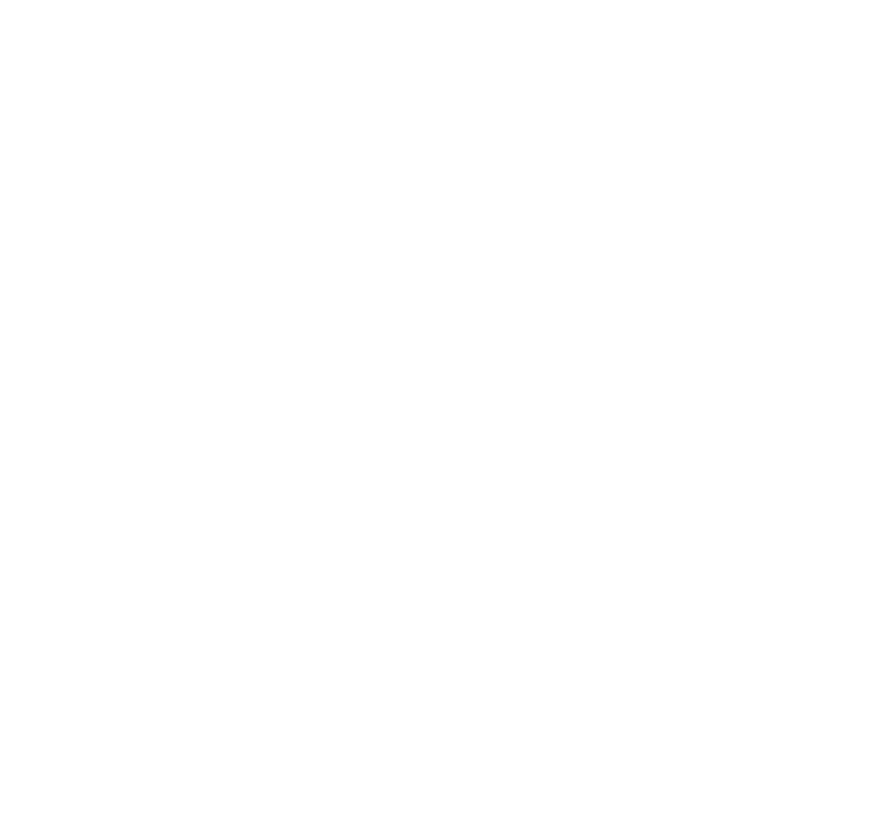 logo light
